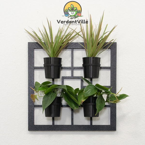 Plants
