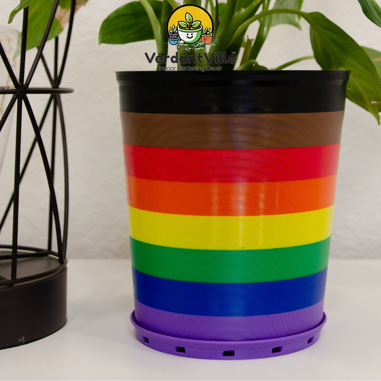 SipStation™ Solo - Large