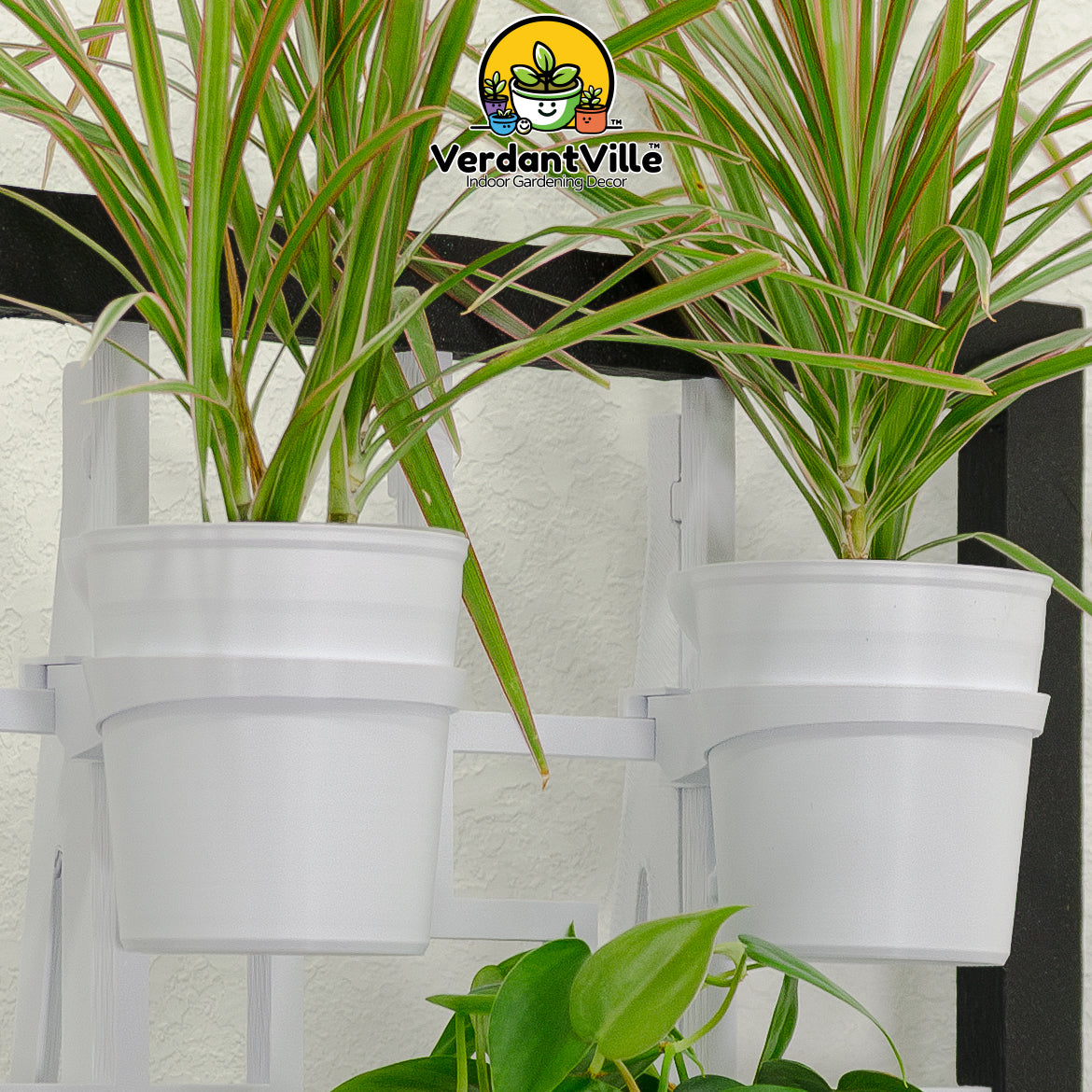A close up of a free-standing plant holder with a black Frame, two white hanging pots, styled with green houseplants against a white textured wall. A VerdantVille logo watermark is visible at the top, and a small black decorative lantern sits on the table to the left.