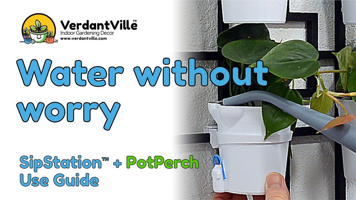 Load video: This video shows in realtime and slow motion a SipStation being filled while installed on a PotPerch Sprout.